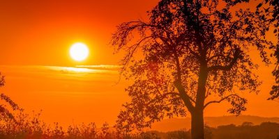 Rapporto annuale Wmo sul clima mondiale, eventi...