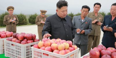 Corea del Nord, nel rapporto Onu malnutrizione ...