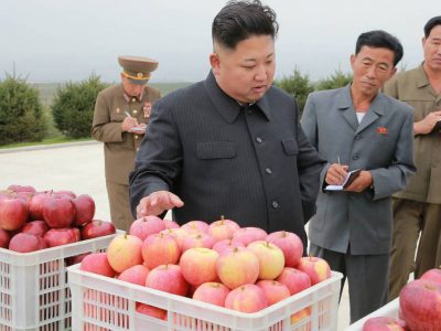 Corea del Nord, nel rapporto Onu malnutrizione cronica