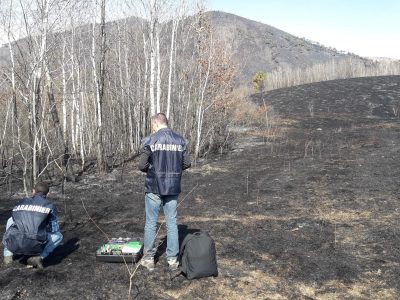 Gli ultimi incendi nel Torinese sono di origine dolosa