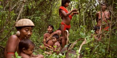 Amazzonia: la terra sottratta agli indio a favo...