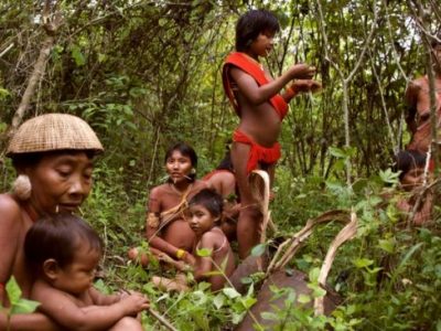 Amazzonia: la terra sottratta agli indio a favore del latifondo