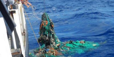 I pescatori di Anzio si uniscono per raccoglier...