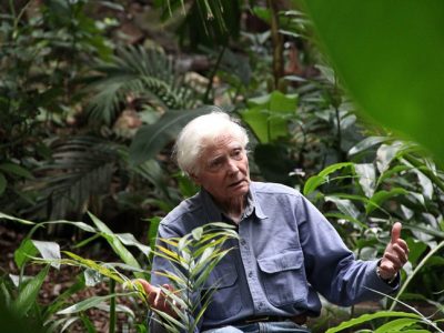 E’ morto a 91 anni W.S. Merwin, fu premio Pulitzer