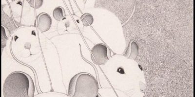 “Una zoografia per Pinocchio” la mo...