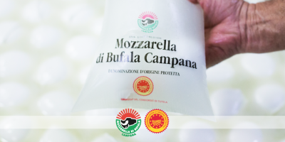 Scoperta finta “Mozzarella Dop” a T...