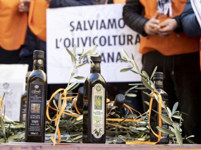 “Il popolo dell’olio” scende in piazza sabato contro la xylella