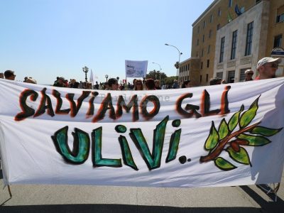 Xylella: due cortei stamani a Lecce per chiedere interventi immediati