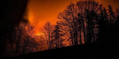 Il bosco va in fiamme, multa da 13 milioni a du...