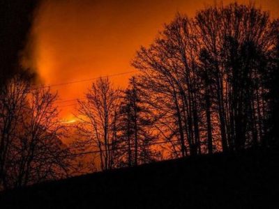 Il bosco va in fiamme, multa da 13 milioni a due ventenni