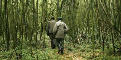 Liberata  la turista rapita nel parco nazionale...