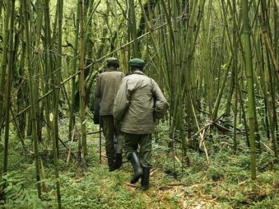 Liberata  la turista rapita nel parco nazionale dell’Uganda