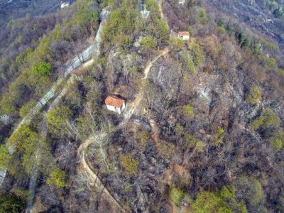 Belmonte, dopo il grave incendio patrimonio arboreo verrà ridotto