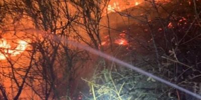 Conto di 13 milioni per due ragazzi che hanno d...