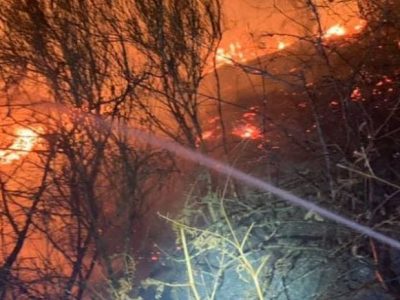 Conto di 13 milioni per due ragazzi che hanno distrutto un’area boschiva