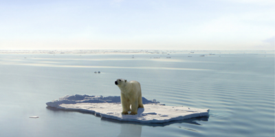 La Giornata della Terra: la storia e i prossimi...