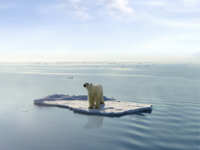 La Giornata della Terra: la storia e i prossimi eventi in Italia