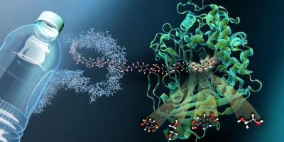 La plastica ora si può distruggere grazie a due...