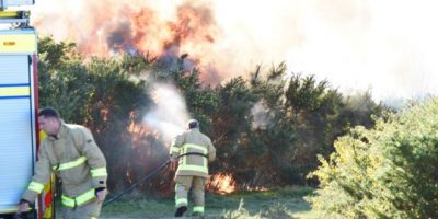 Incendio nel bosco di Winnie the Pooh, la Ashod...