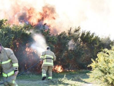 Incendio nel bosco di Winnie the Pooh, la Ashodown Forest