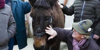 L’addio a Iroso, era l’ultimo mulo ...