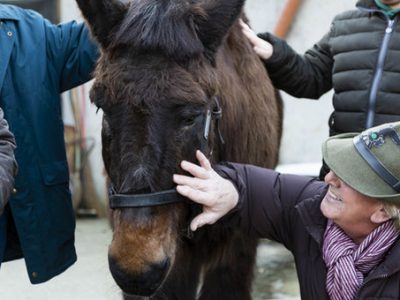 L’addio a Iroso, era l’ultimo mulo in forza alle Truppe Alpine