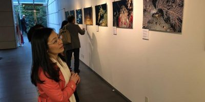 L’Italia ha regalato al Giappone le belle...