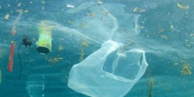 Mar Rosso da tutelare. Messa al bando la plasti...