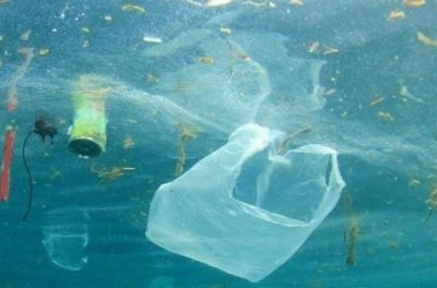 Mar Rosso da tutelare. Messa al bando la plastica usa e getta