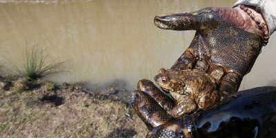 Scoperto l’inquinatore volontario del lag...