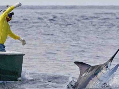 Pesca al pesce spada: la Ue ha respinto il ricorso dell’Italia