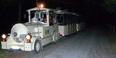 Il Parco della Mandria visitabile di notte a bo...