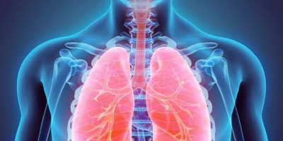 Tumore al polmone: passi avanti verso la terapi...