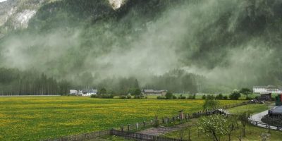 La primavera e i suoi pollini: cosa evitare e c...