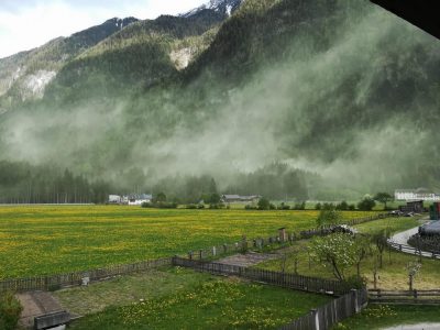 La primavera e i suoi pollini: cosa evitare e come curarsi
