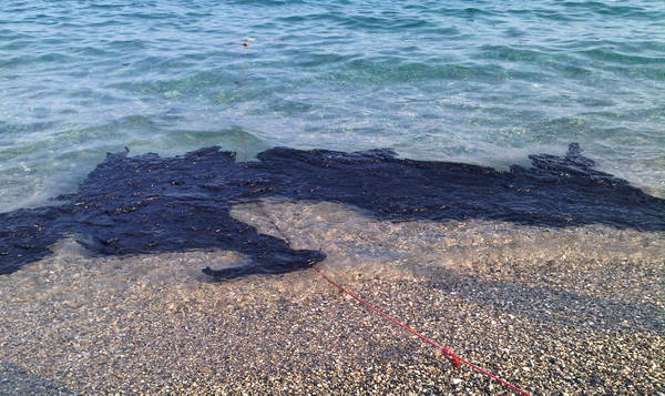 inquinamento mare, fibre sintetiche