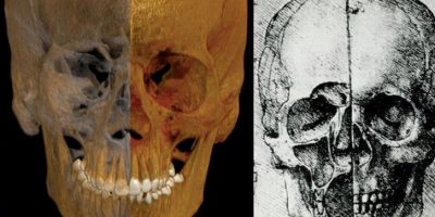 L’anatomia di Leonardo precisa come una Tac