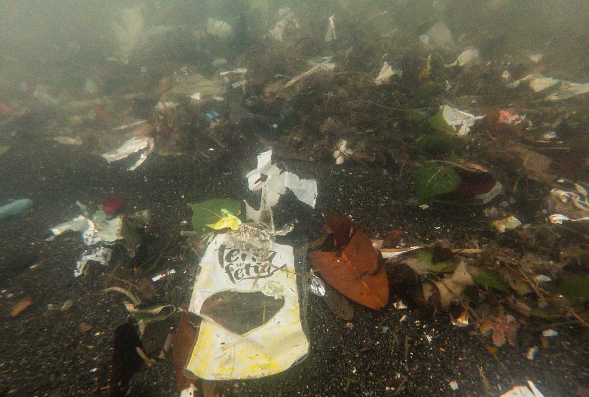 Greenpeace foce del Sarno