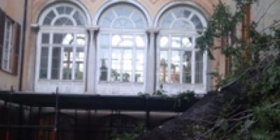 Un albero è caduto su padiglioni dell’osp...