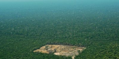 L’Amazzonia deforestata a velocità record...