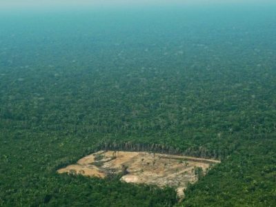 L’Amazzonia deforestata a velocità record: 19 ettari l’ora