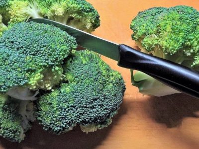 Nella lotta ai tumori possono contribuire anche i broccoli
