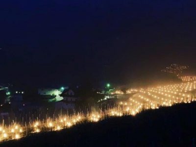 Migliaia di candele accese per proteggere i vigneti dal freddo