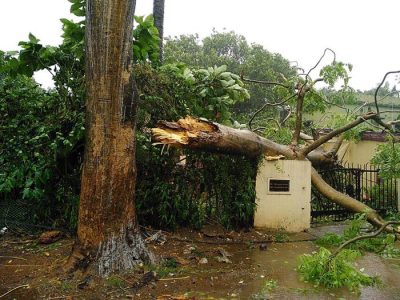 Ciclone Fani sull’India, vento a 205 orari evacuate oltre 1 milione di persone