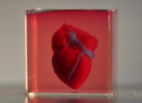 cuore 3d