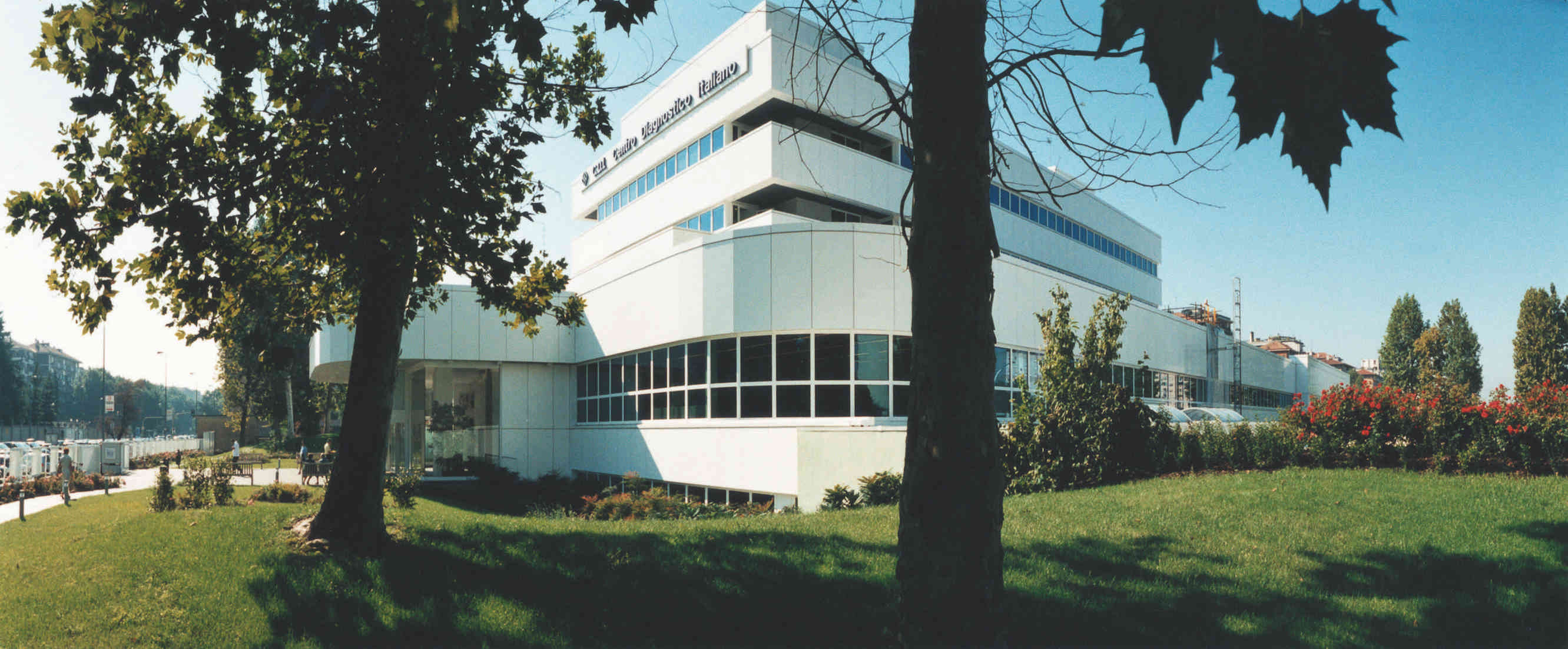 giornata mondiale celiachia