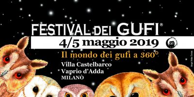 Torna il Festival dei gufi, quest’anno in...