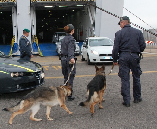 cani 7 chili cocaina