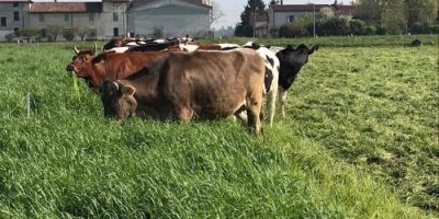 Kering, nuovi standard ‘welfare’ an...