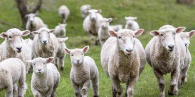 Ex sequestrato da Anonima sarda in carcere per ...